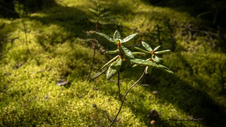 Empreintes des lieux