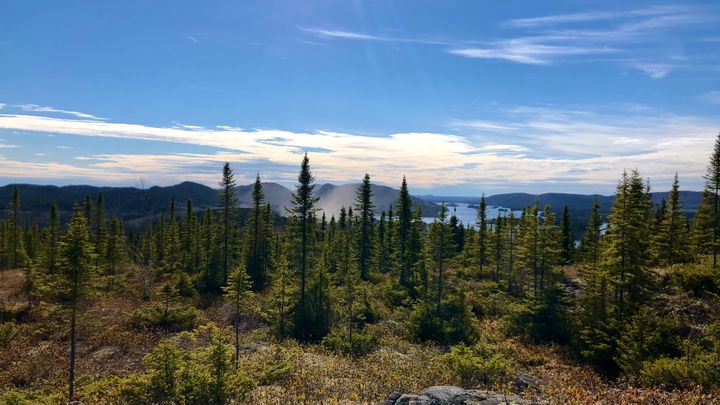 Découvrez la faune, la flore et les monts de la Jamésie