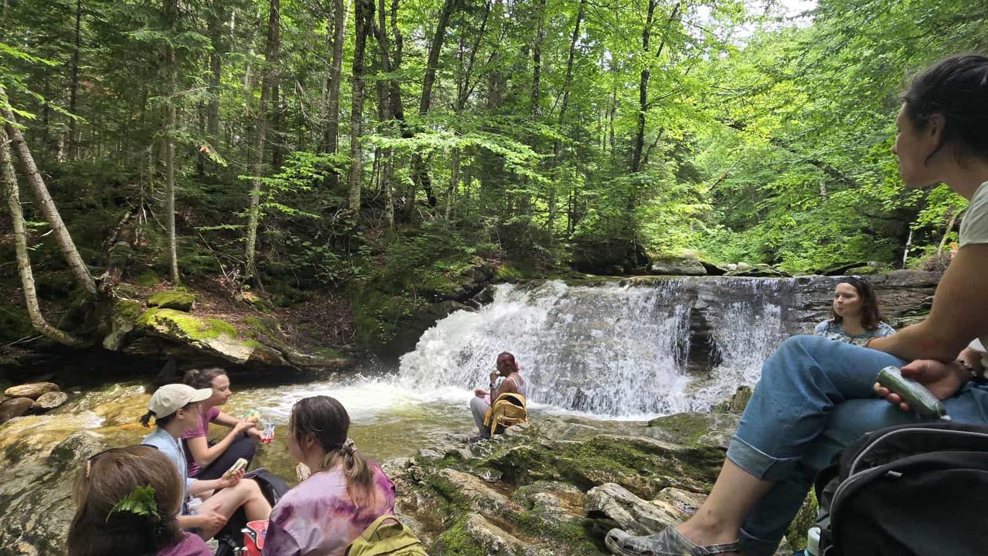 Immersion nordique : Reconnecter à l'essentiel