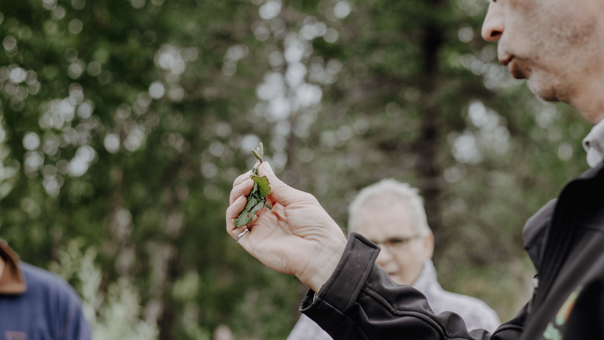 Jean-Claude Villeneuve